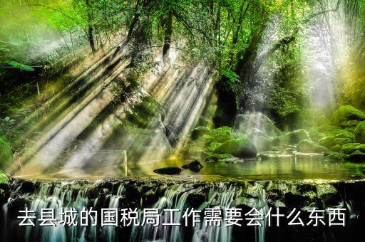 國家稅務局都要會什么，稅務局工作需要點什么