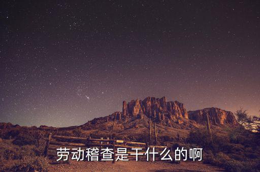 稽查是什么工作，勞動(dòng)稽查是干什么的啊