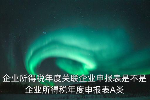 企業所得稅年度關聯企業申報表是不是企業所得稅年度申報表A類