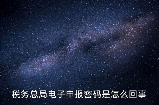 網上如何申報國稅密碼是什么原因，網上報稅 報稅密碼是什么