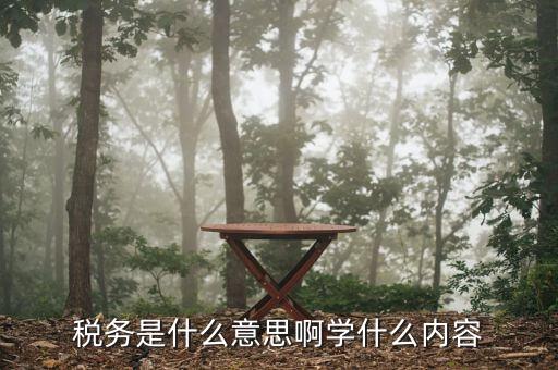 稅務是什么意思啊學什么內容