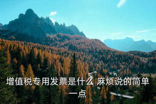 增值稅專用發票是什么 麻煩說的簡單一點