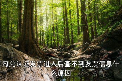 發票查詢為什么查不到信息嗎，發票開了稅務局上查不到信息是怎么回事
