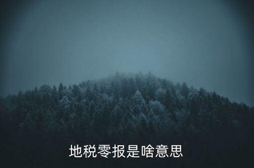 陜西什么是地稅0申報，陜西地稅0申報怎么報