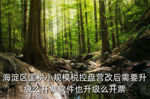 稅控盤為什么要升級，稅控盤鎖了找稅務專管員處理了說拿回來要升級一下怎么升級