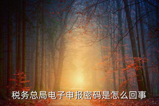 山東國稅登錄密碼是什么意思，使用過的帳號登錄密碼是什么意思