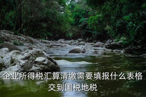 匯算清繳填寫什么表格，請教關于企業所得稅匯算清繳中需要填寫的表格的一些問題