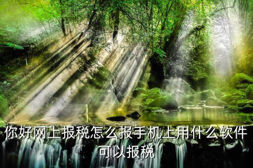 你好網上報稅怎么報手機上用什么軟件可以報稅