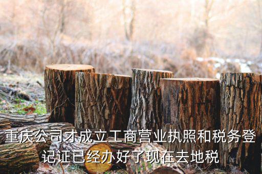 重慶公司才成立工商營業執照和稅務登記證已經辦好了現在去地稅
