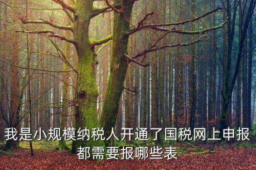 我是小規模納稅人開通了國稅網上申報都需要報哪些表