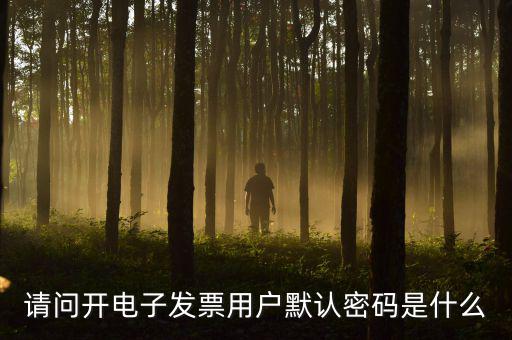 請問開電子發票用戶默認密碼是什么