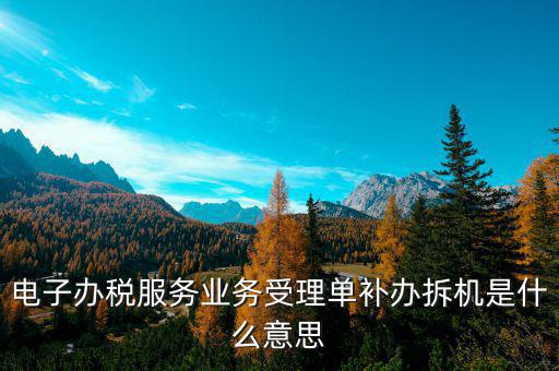 電子辦稅服務業務受理單補辦拆機是什么意思