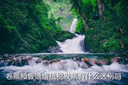 卷票和普通增值稅發票有什么區別嗎