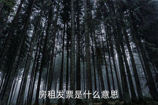 租賃協(xié)議和租金發(fā)票是什么意思，新辦企業(yè)地稅要租房協(xié)議開發(fā)票請問這是開什么發(fā)票啊