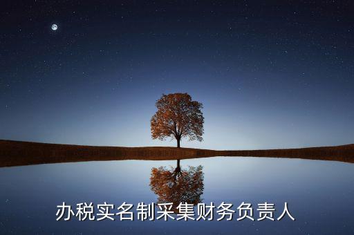 什么是實名辦稅，辦稅實名制采集財務負責人