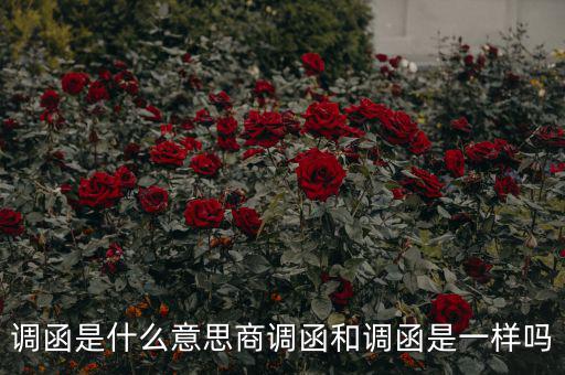 國(guó)稅調(diào)函是什么意思，國(guó)稅要來函條是怎么回事啊