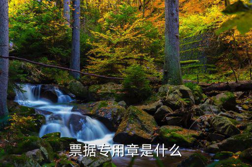 發票專用章上都有什么，發票長條章上面都有什么內容