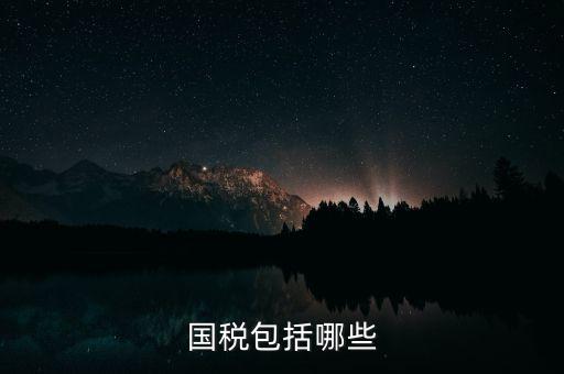 國稅綜合業務指什么，國稅包括哪些