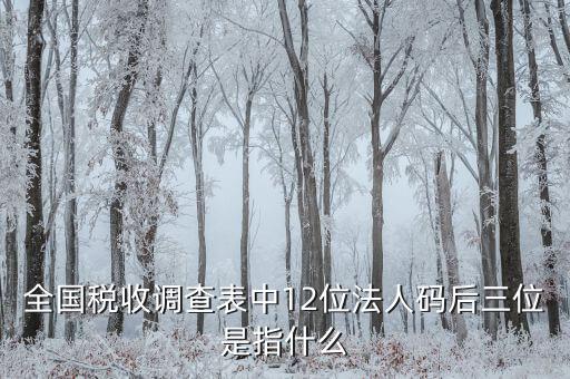 全國稅收調查表中12位法人碼后三位是指什么