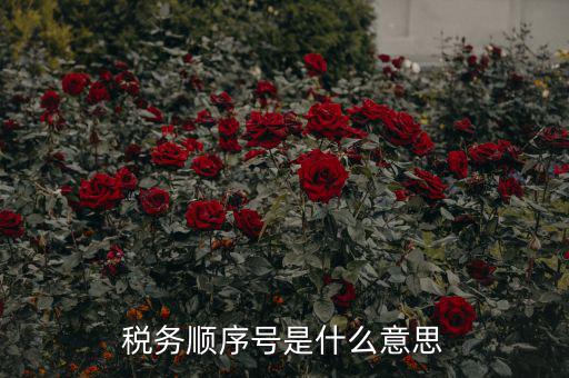 成都稅務號是什么意思，四川省國稅編號開頭幾位數是什么