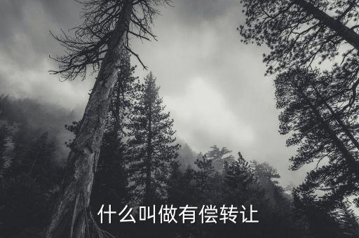有償轉移安置什么意思，有償轉發什么意思