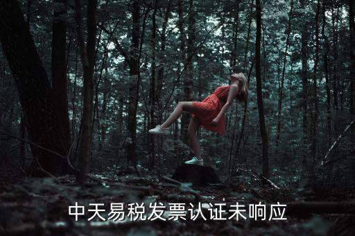 中天易稅發票認證未響應