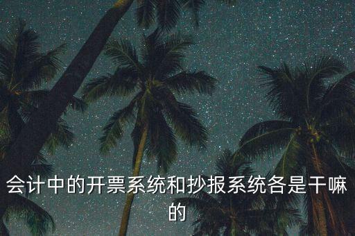 會計中的開票系統和抄報系統各是干嘛的