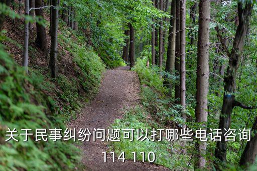 關于民事糾紛問題可以打哪些電話咨詢114 110