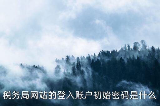 國稅網上登陸密碼是什么，稅務局網站的登入賬戶初始密碼是什么
