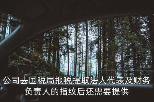 國稅錄指紋需要帶什么材料，公司去國稅局報稅采取法人代表及財務負責人指紋后還需要提供哪