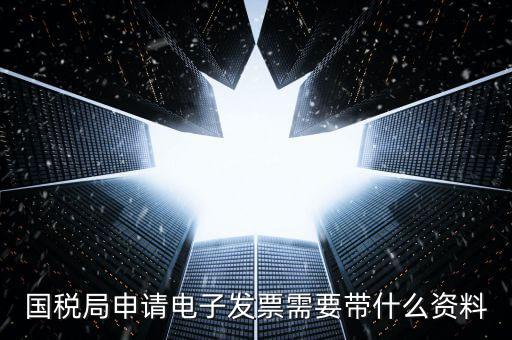 國稅局申請電子發票需要帶什么資料