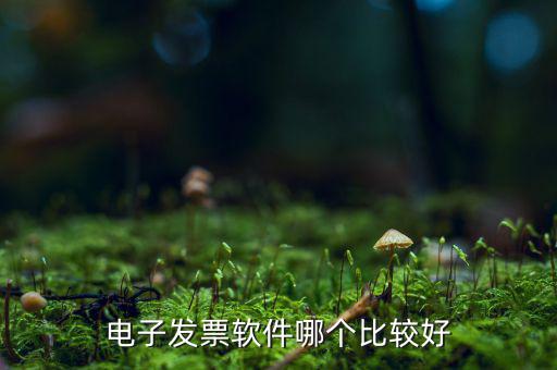 電子發票軟件哪個比較好