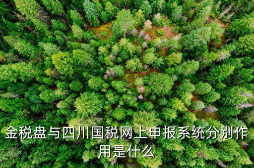 金稅盤的作用是什么，請問現在國稅局換的金稅盤主要的作用是什么