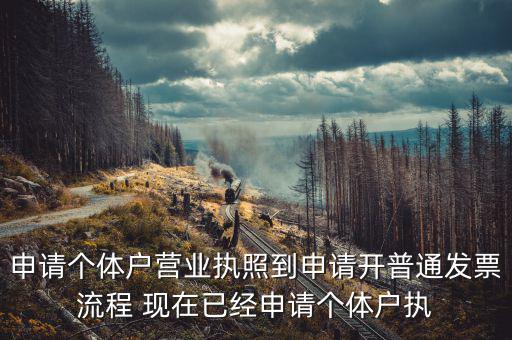 申請個體戶營業執照到申請開普通發票流程 現在已經申請個體戶執