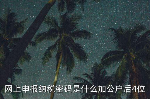 網上如何申報國稅密碼是什么，國稅第一次網上申報的登陸密碼是什么