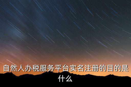 自然人辦稅服務平臺實名注冊的目的是什么
