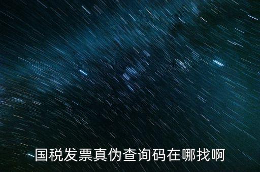 國稅發票真偽查詢碼在哪找啊