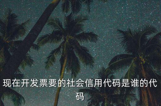 現(xiàn)在開(kāi)發(fā)票要的社會(huì)信用代碼是誰(shuí)的代碼