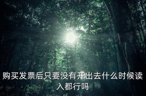 購買發票后只要沒有開出去什么時候讀入都行嗎