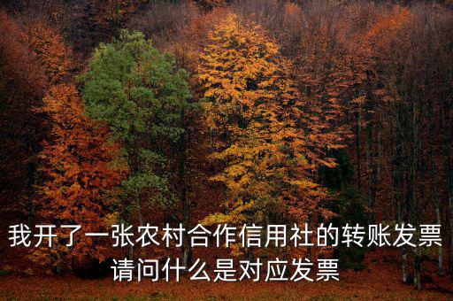 我開了一張農村合作信用社的轉賬發票請問什么是對應發票