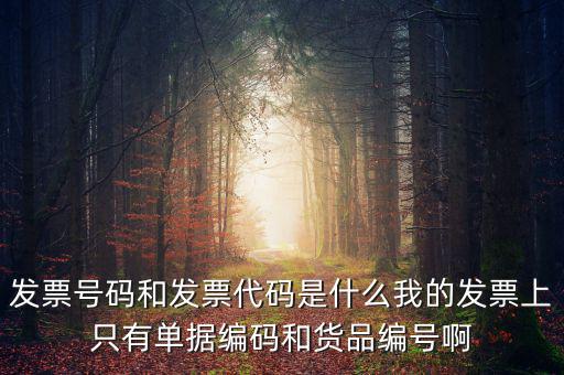 發票代碼指什么地方，增值稅普通發票的12位發票代碼在什么位置
