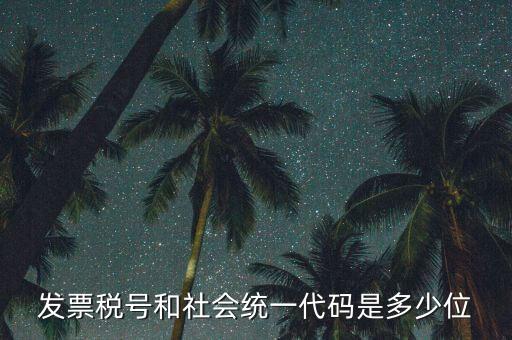 發票統一社會信用代碼是什么，現在開發票要的社會信用代碼是誰的代碼
