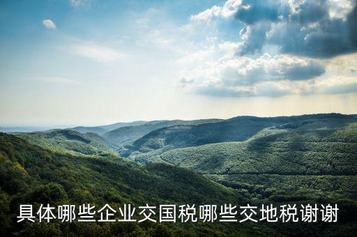 具體哪些企業交國稅哪些交地稅謝謝