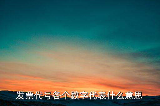 發票代號各個數字代表什么意思