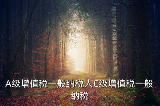 b級納稅人是什么意思，A級增值稅一般納稅人C級增值稅一般納稅