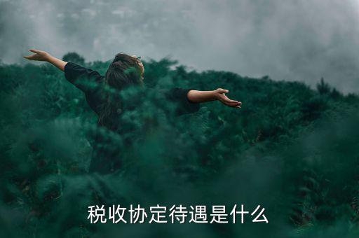 稅收協定待遇是什么