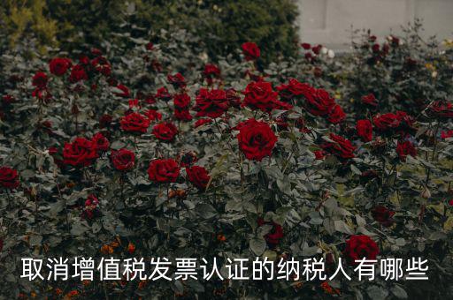 取消增值稅發票認證的納稅人有哪些