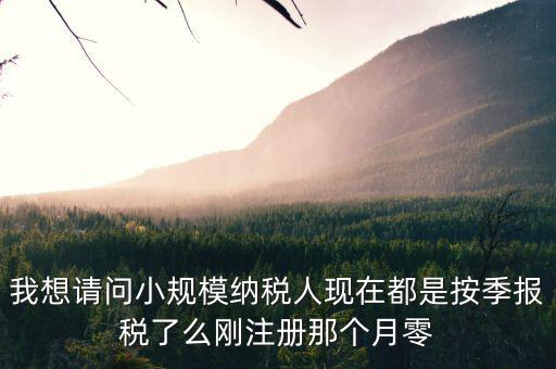 我想請問小規模納稅人現在都是按季報稅了么剛注冊那個月零