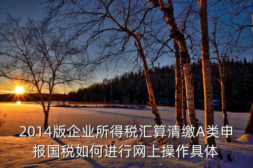 2014版企業所得稅匯算清繳A類申報國稅如何進行網上操作具體