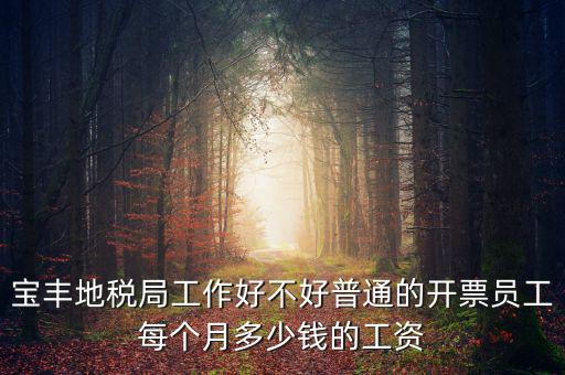 寶豐國稅局局長叫什么，寶豐三分局移動營業廳地址在哪里